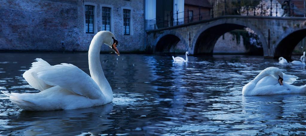 Csar Private Guesthouse Brugge Dış mekan fotoğraf