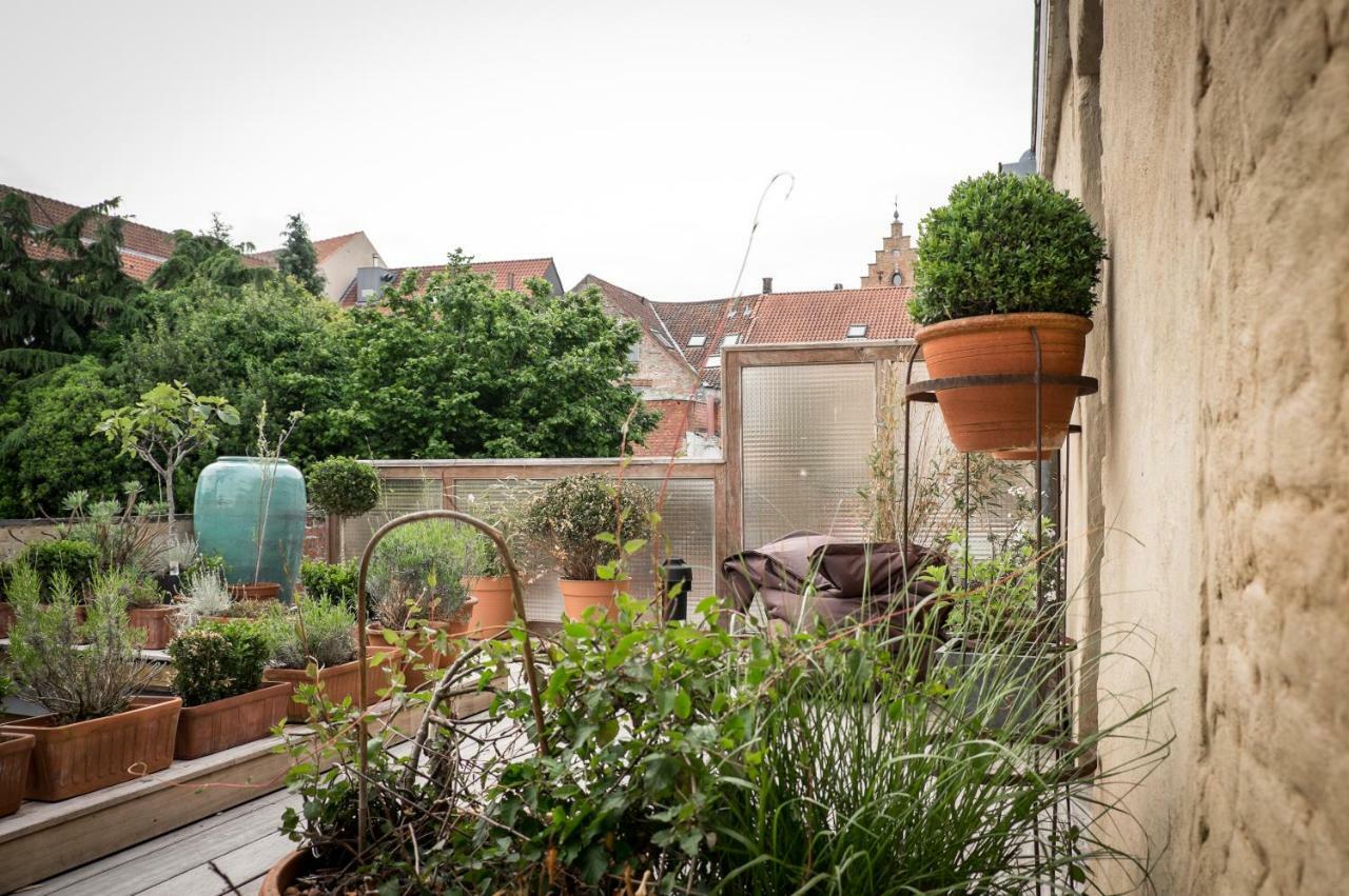 Csar Private Guesthouse Brugge Dış mekan fotoğraf